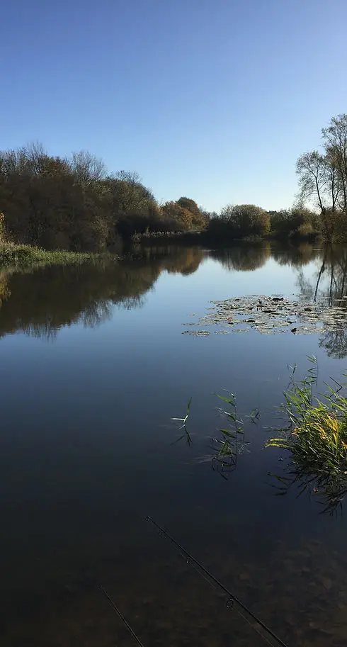 Doe's Angling Club