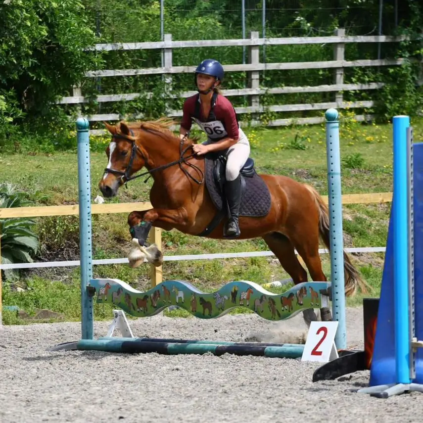 Red Piece Equestrian Stables