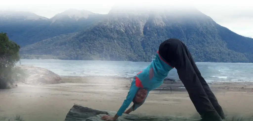 The Seeds of Yoga