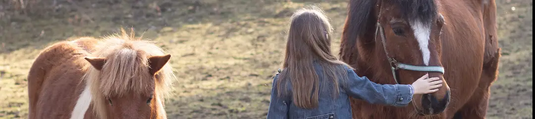 Les écuries de vertbois
