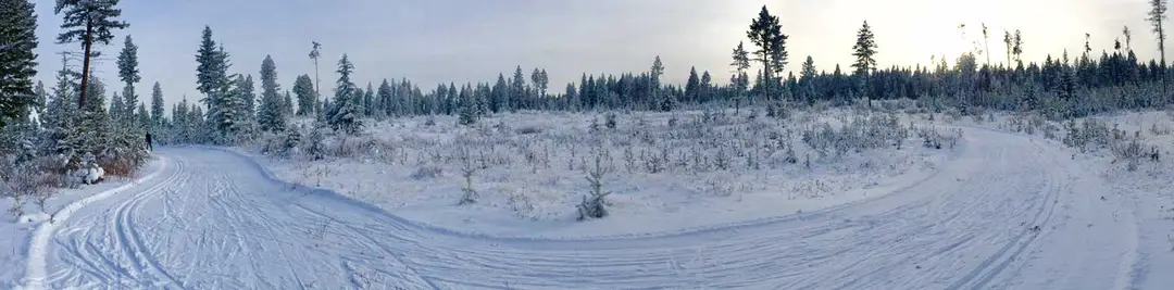 100 Mile Nordic Ski Society