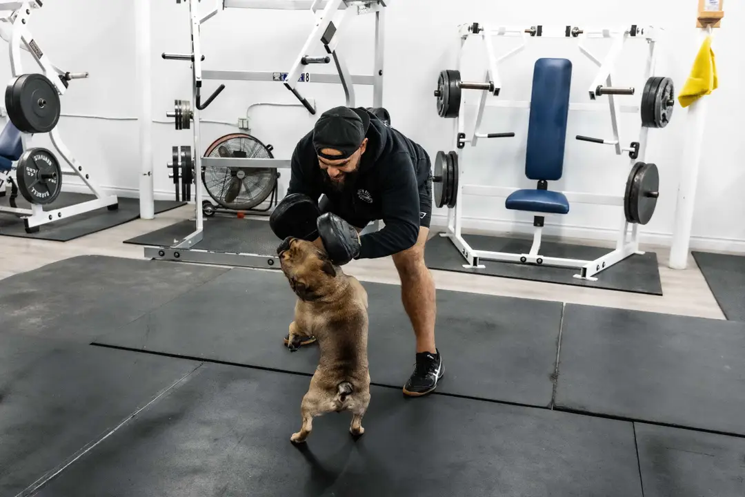 Hidden City Fitness