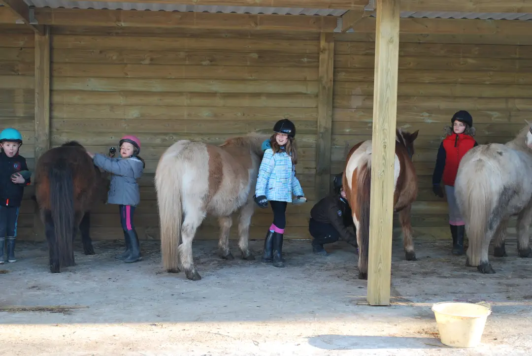 CLUB HIPPIQUE DE TREGASTEL