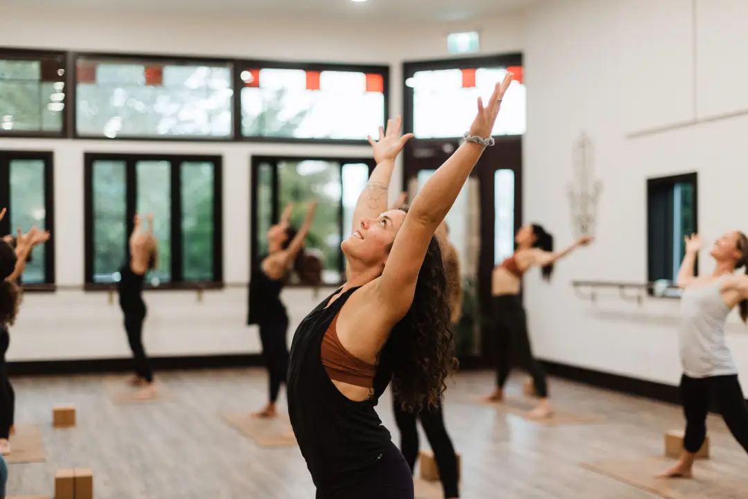Alchemy Studio