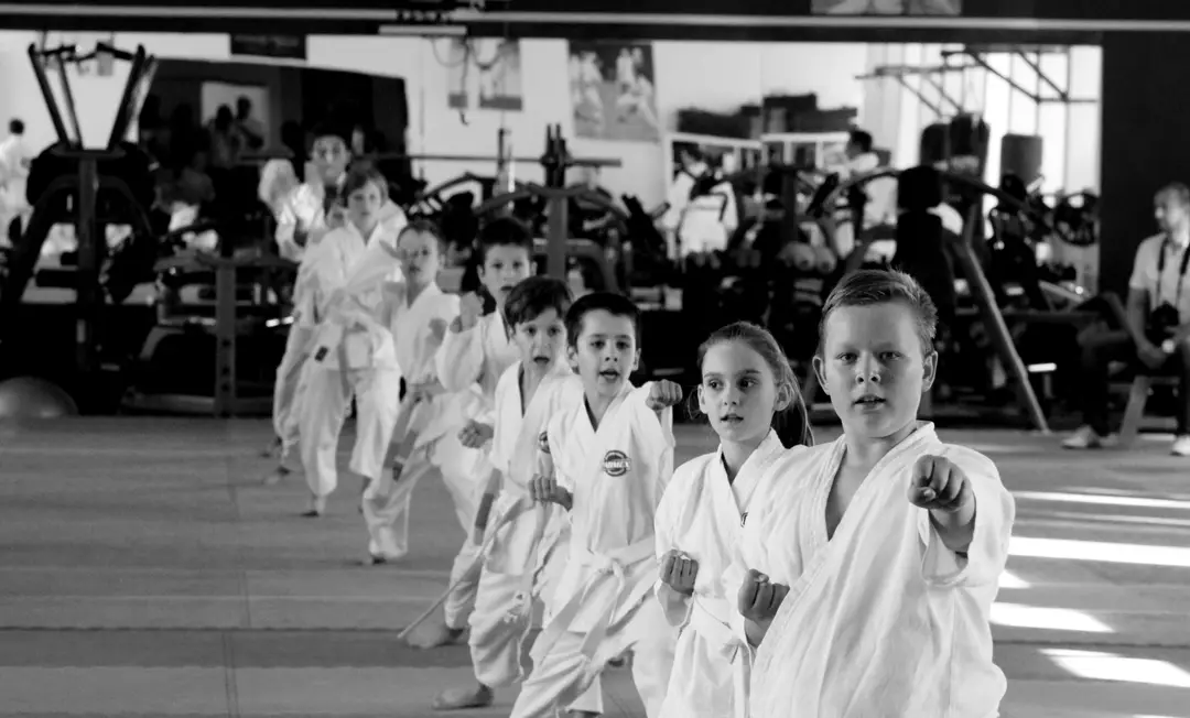 Karate club Farmex Nitra