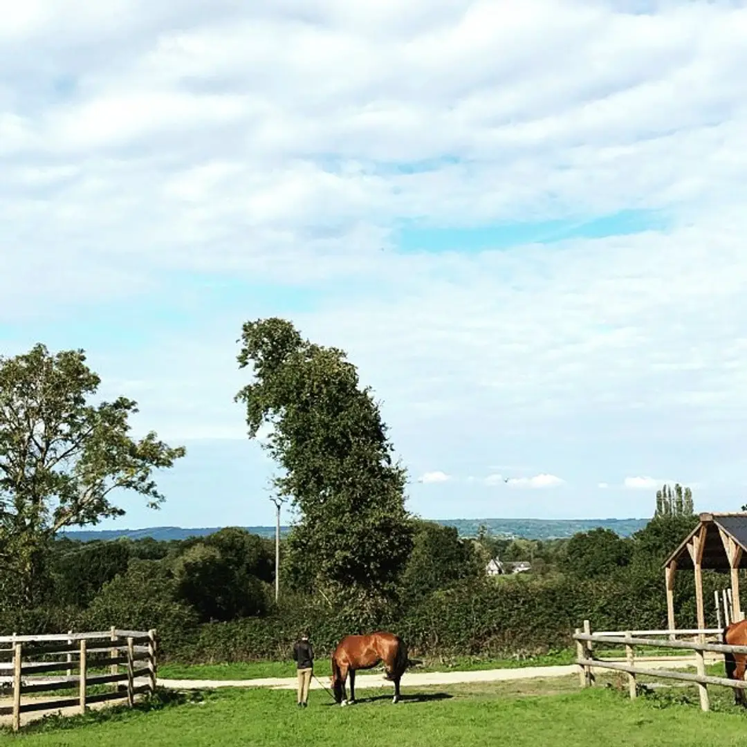 A 10 Mn De Deauville Balade À Horse Area De L'atlas