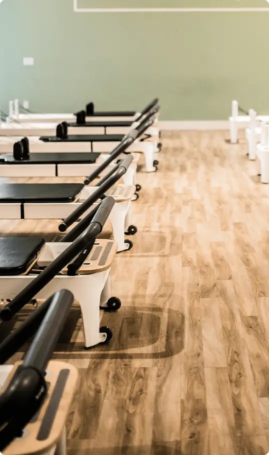 Movement 101 Physio Chatswood