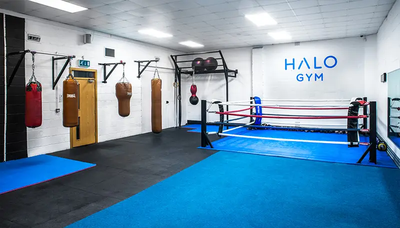 Halo Gym