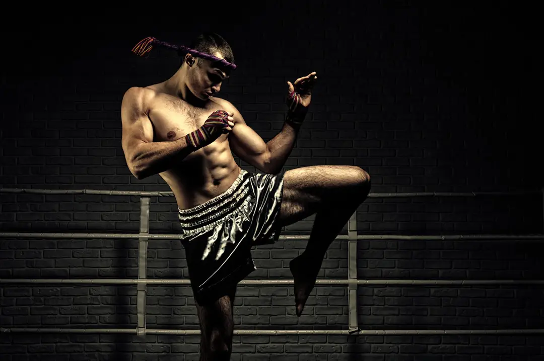 Aspic Training & Fight