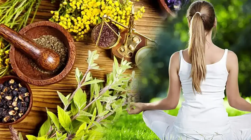 Astha Yogpeeth and Naturopathy Centre, Marma Therapy, Naturopathy Courses