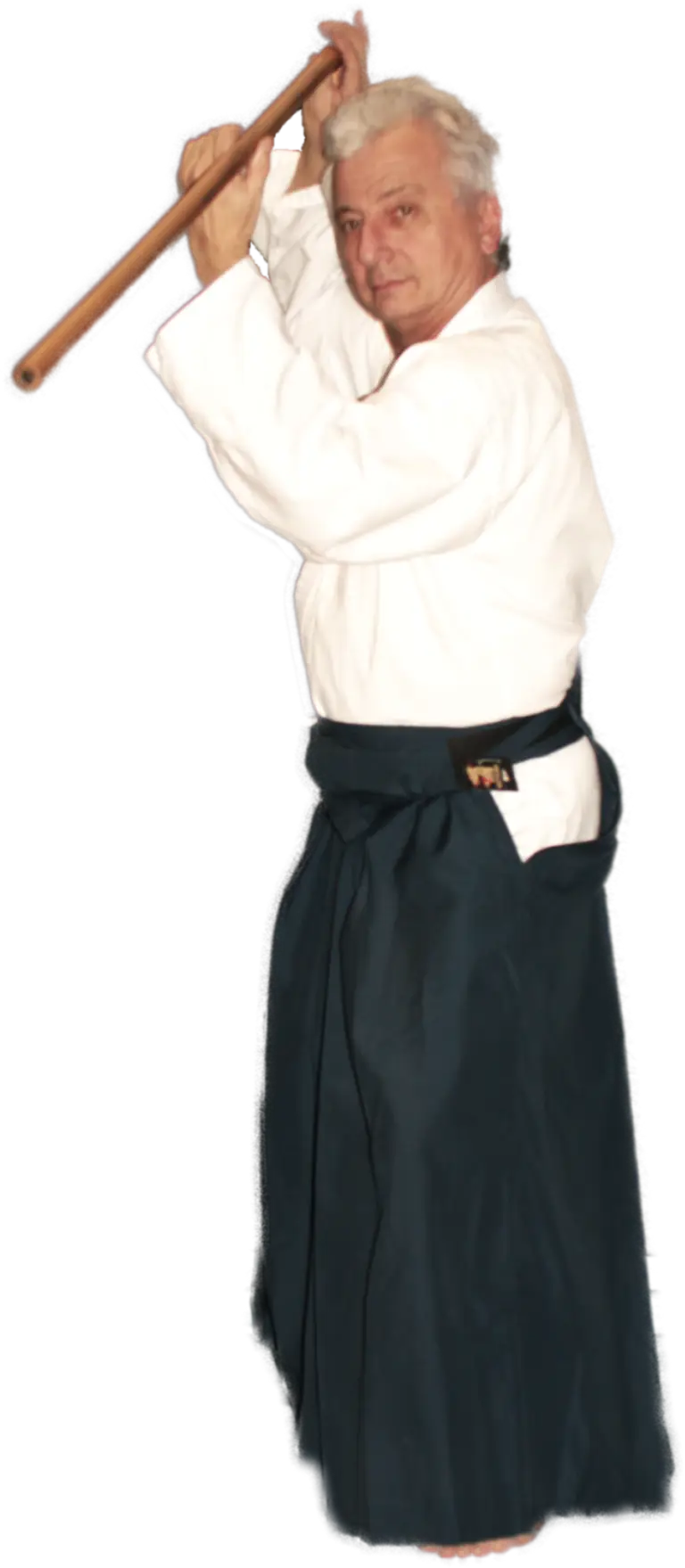 Budokai Metz