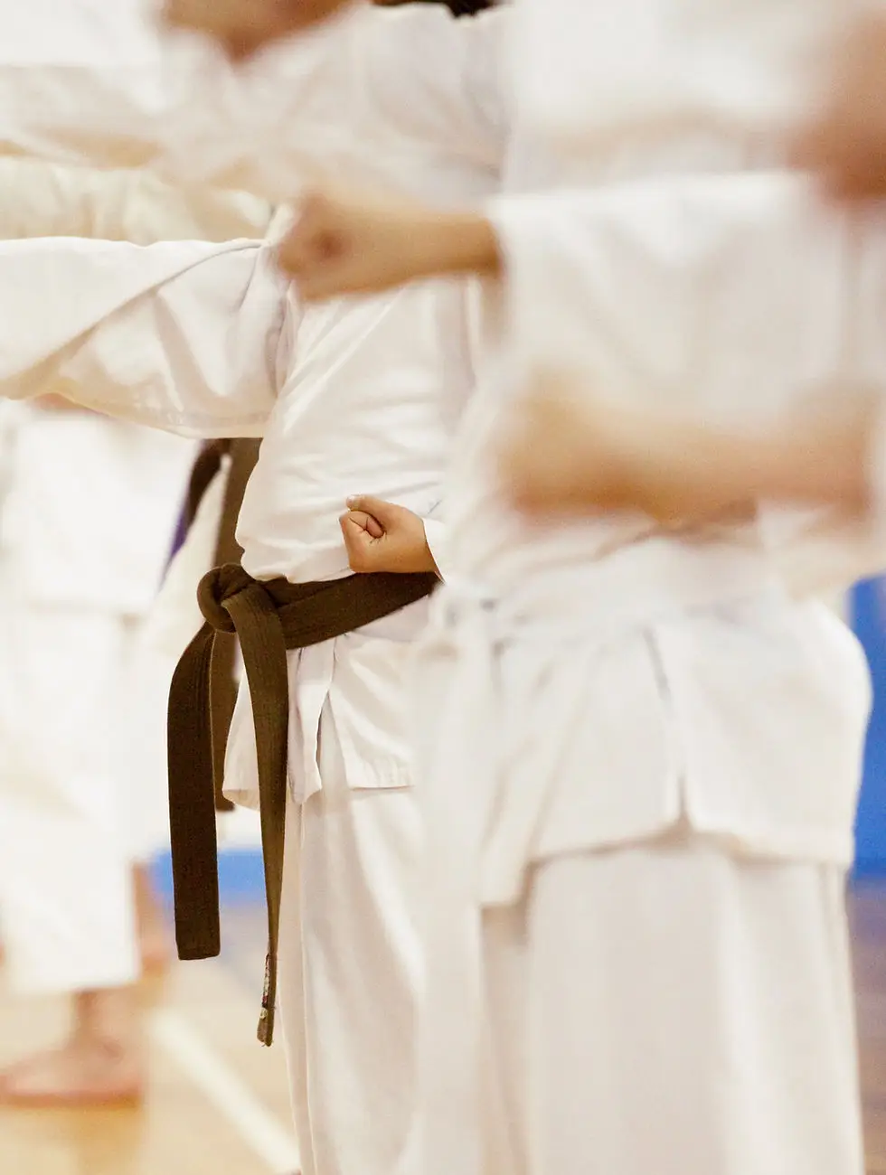 Western Sydney Martial Arts & Fitness Centre (WSMAFC)