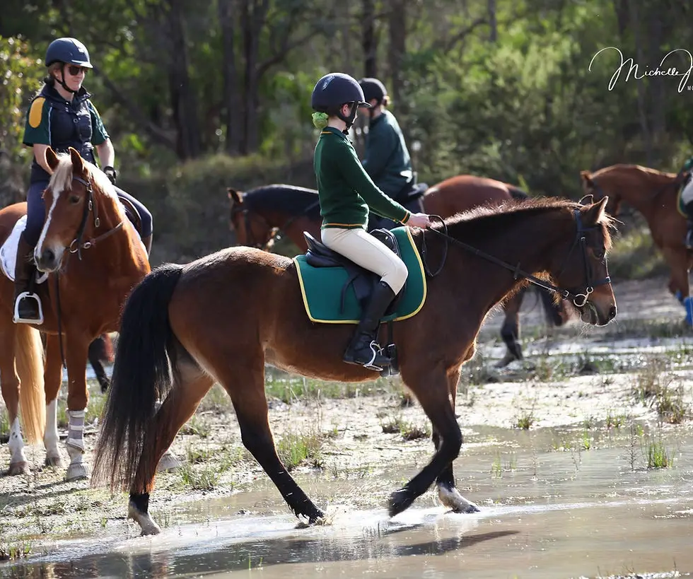 Margaret River Horse & Pony Club