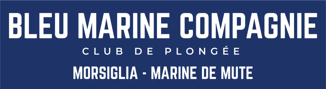 Bleu Marine Compagnie
