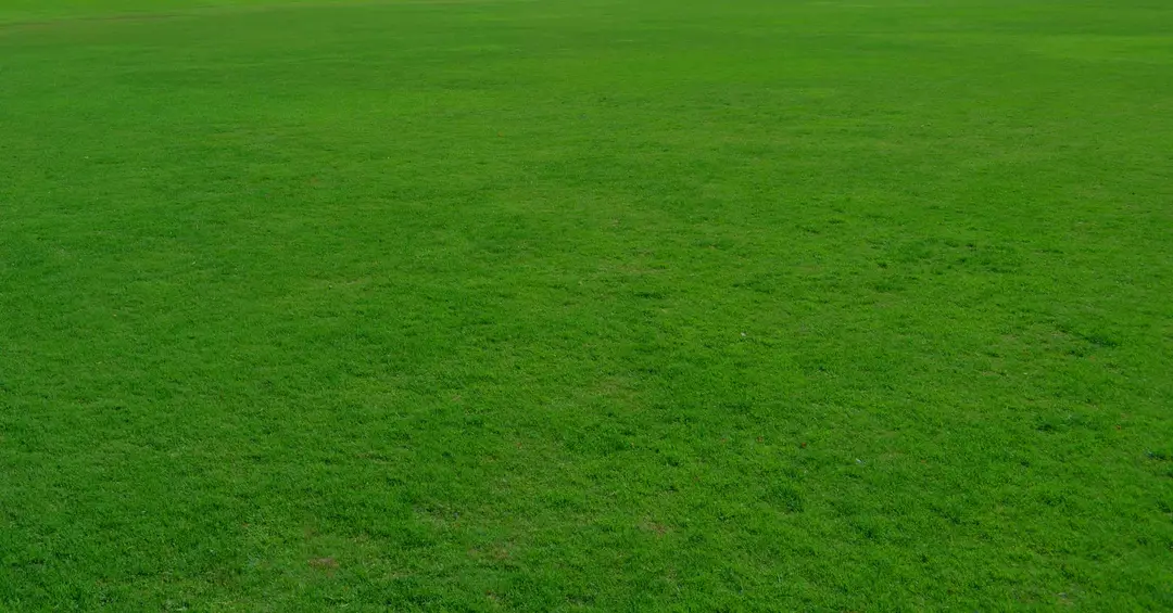 On The Green Physiotherapy & Pilates