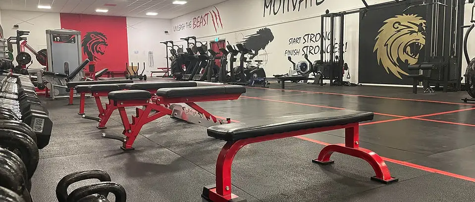 Roar Strength & Conditioning Gym & Fitness Club