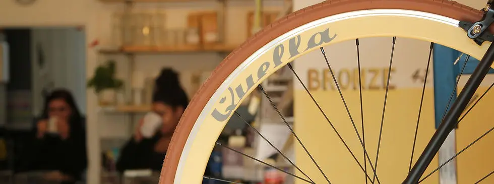 Pedal Back Cycling
