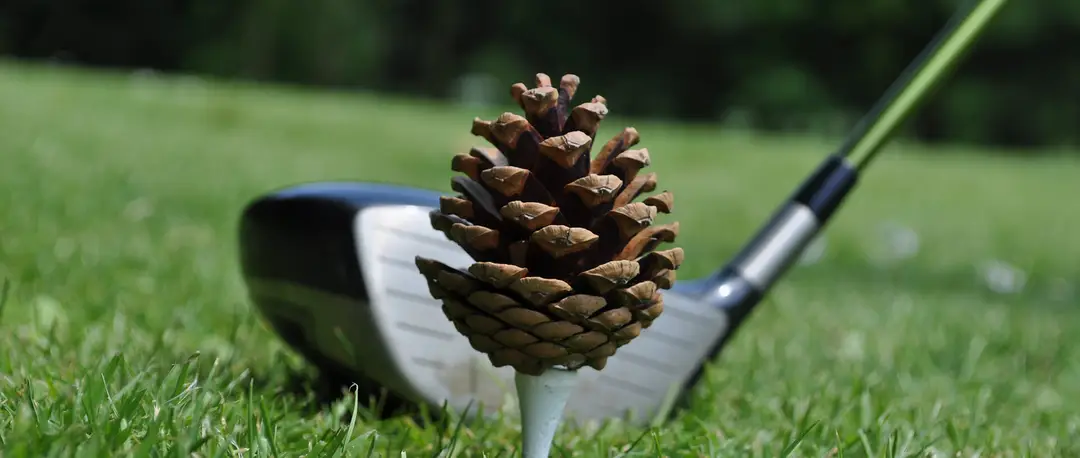 Restaurant du Golf