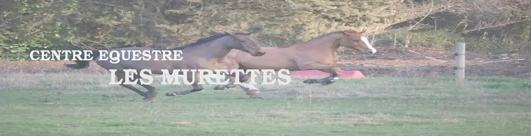 Centre Equestre les MURETTES