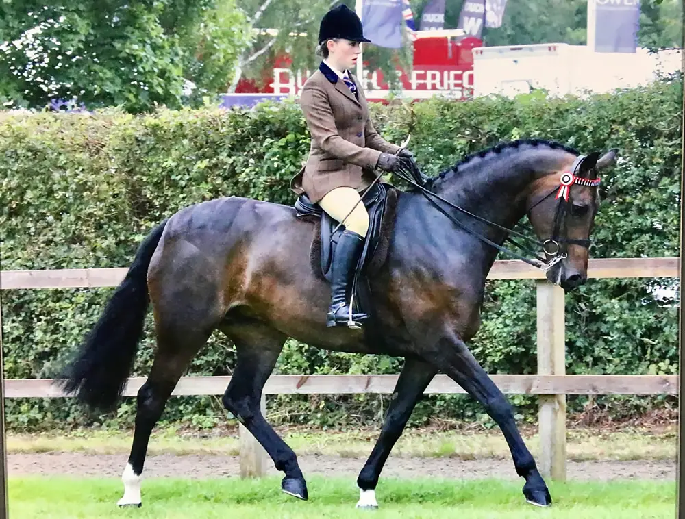 Romanno Stud