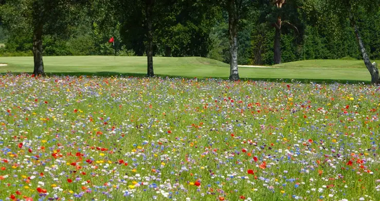 Lamberhurst Golf Club - Kent