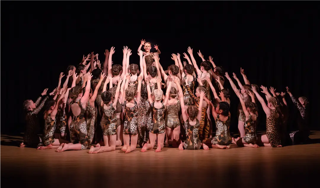 Test Valley School of Dance