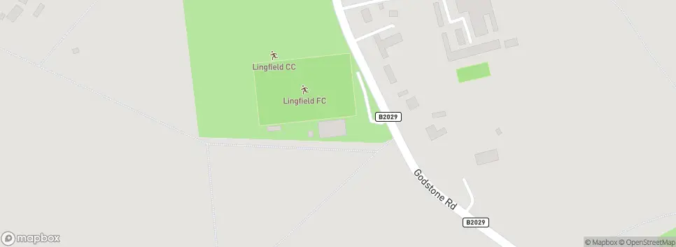 Lingfield Football Club