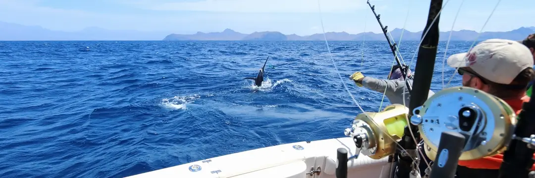 Sydney Game Fishing Club