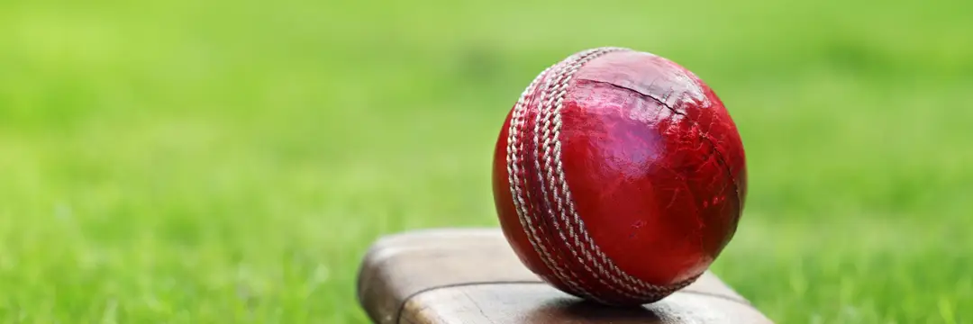 Lyon Cricket