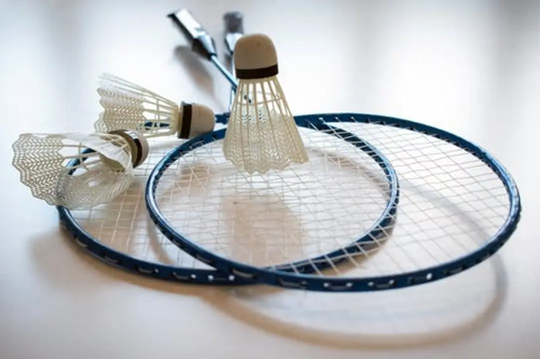 Sandon Badminton Club