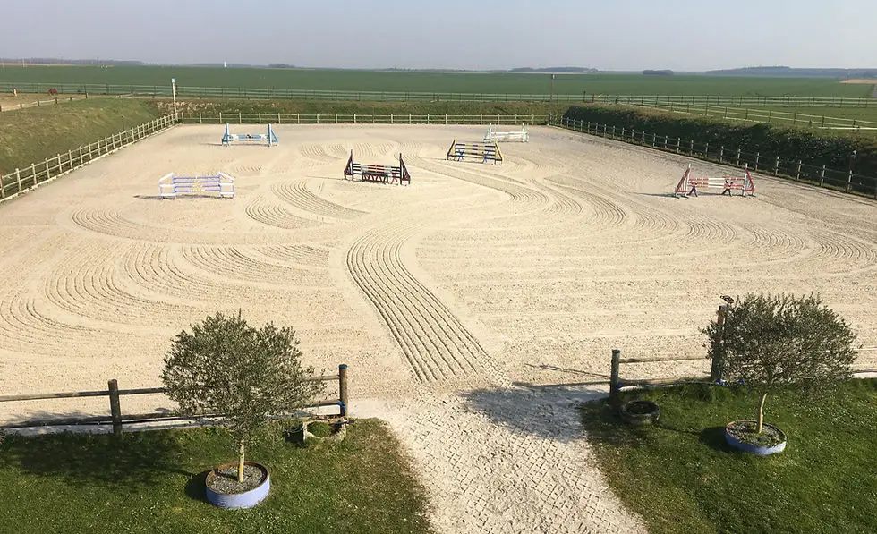 Stud Des Myosotis - Pension Horses