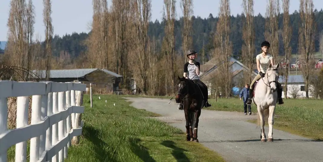 Valle Vista Stables