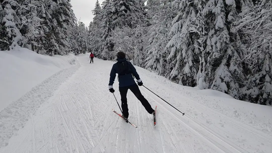 ASVEL Ski Mountain