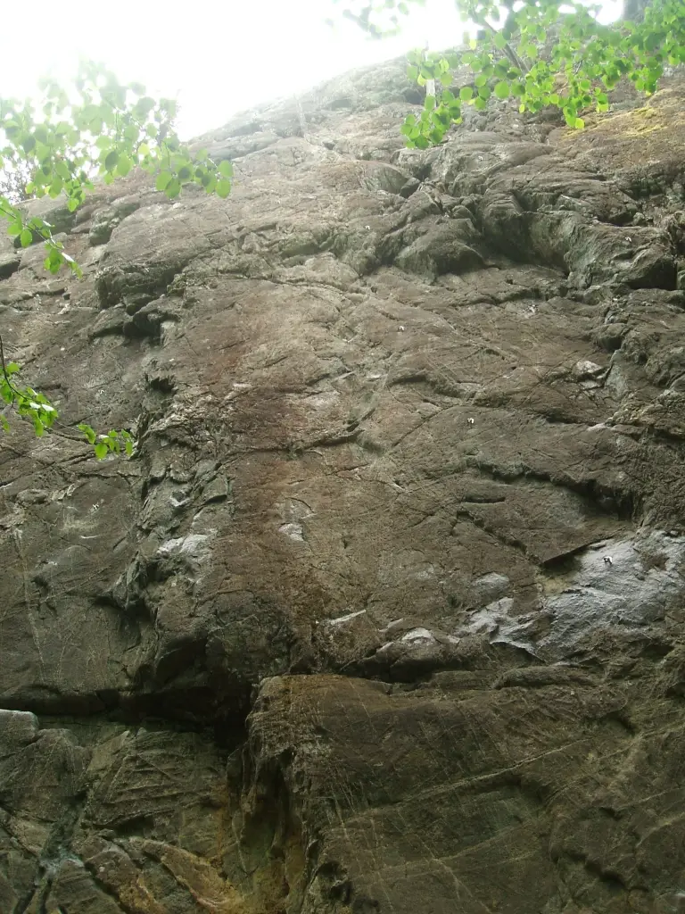 Cheakamus Canyon Climbing Site