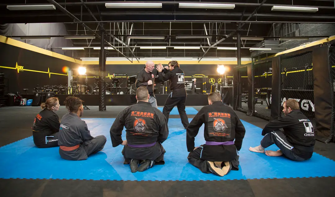Combat Jujutsu