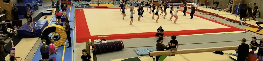 Gymnastics Waitara