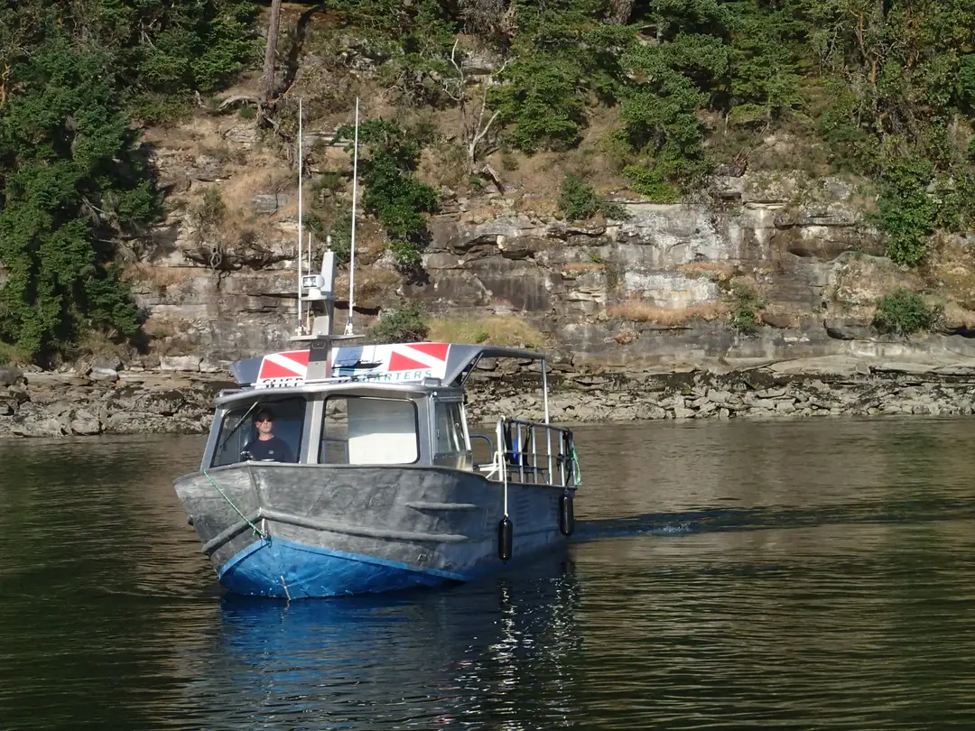 Shepherd Charters