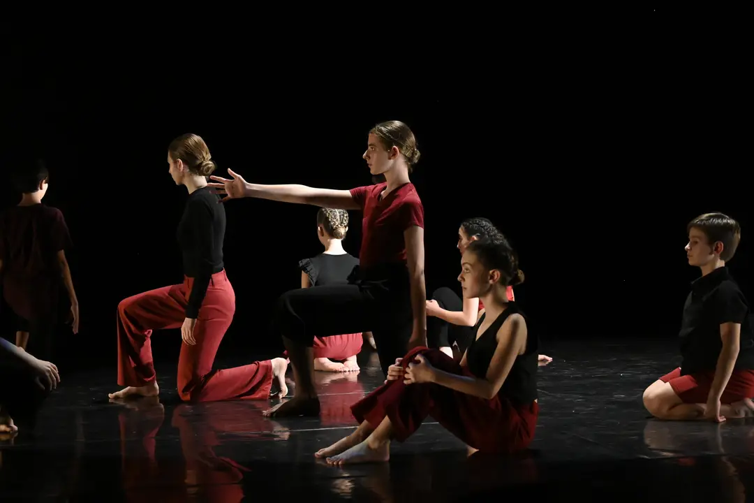 Terpsichore - Dance School