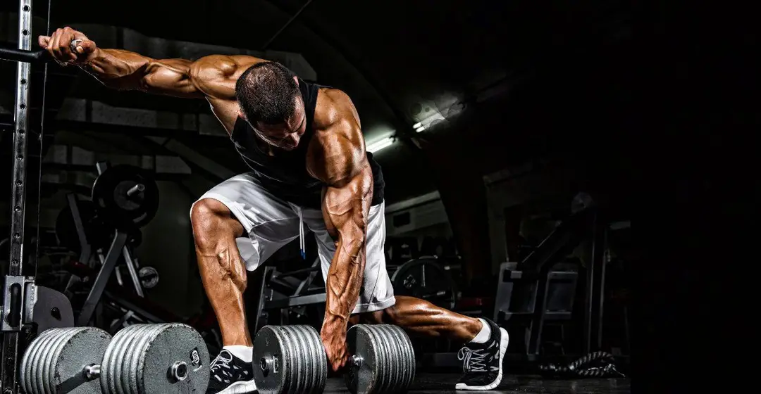 C3 Fitness - Unisex Fitness Center | Best Gym in Udumalpet