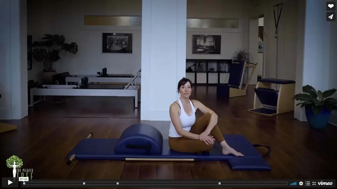 The Pilates Tree