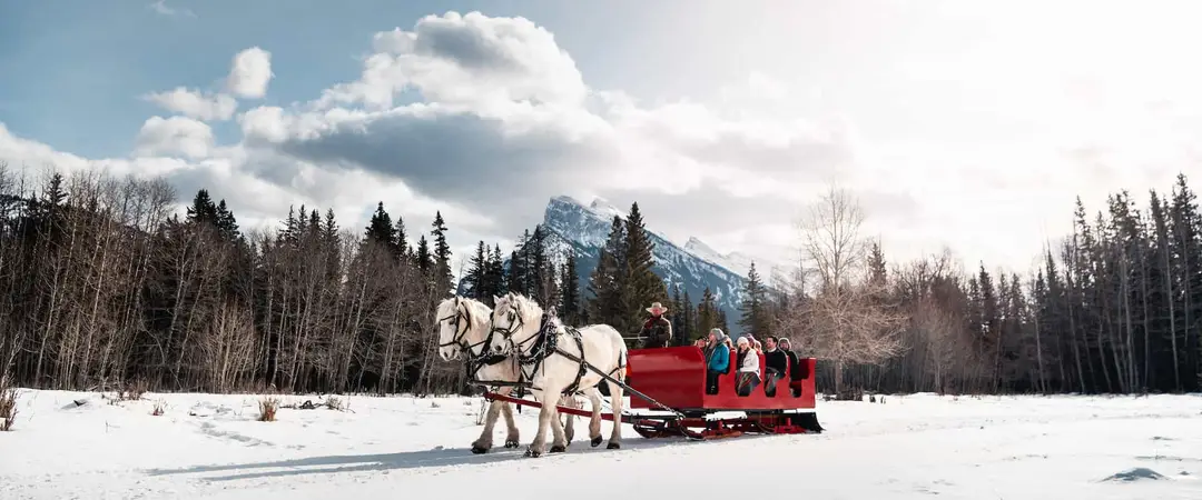 Banff Trail Riders - Stables