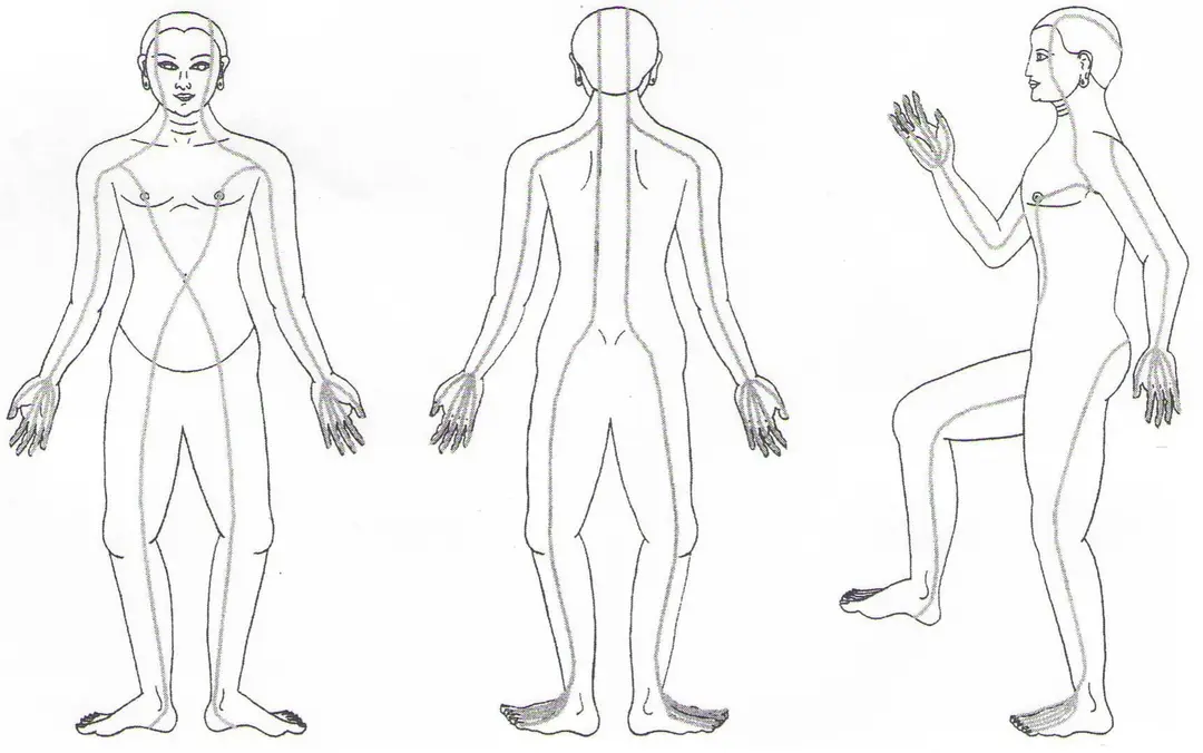 SenBodywork