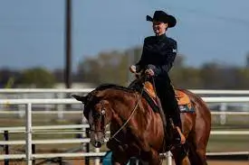 Helensburgh Saddlery