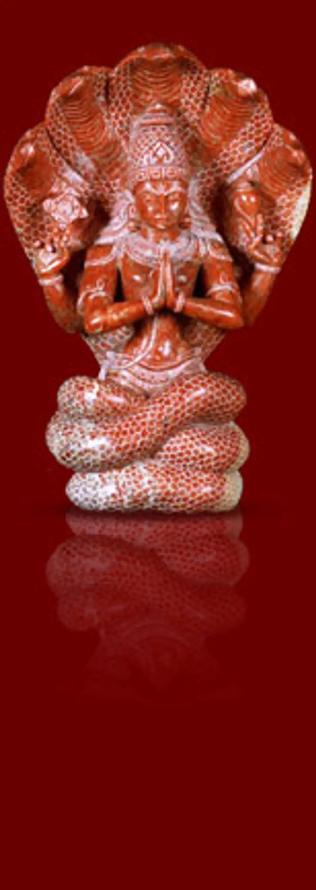 OM YOGA CENTER