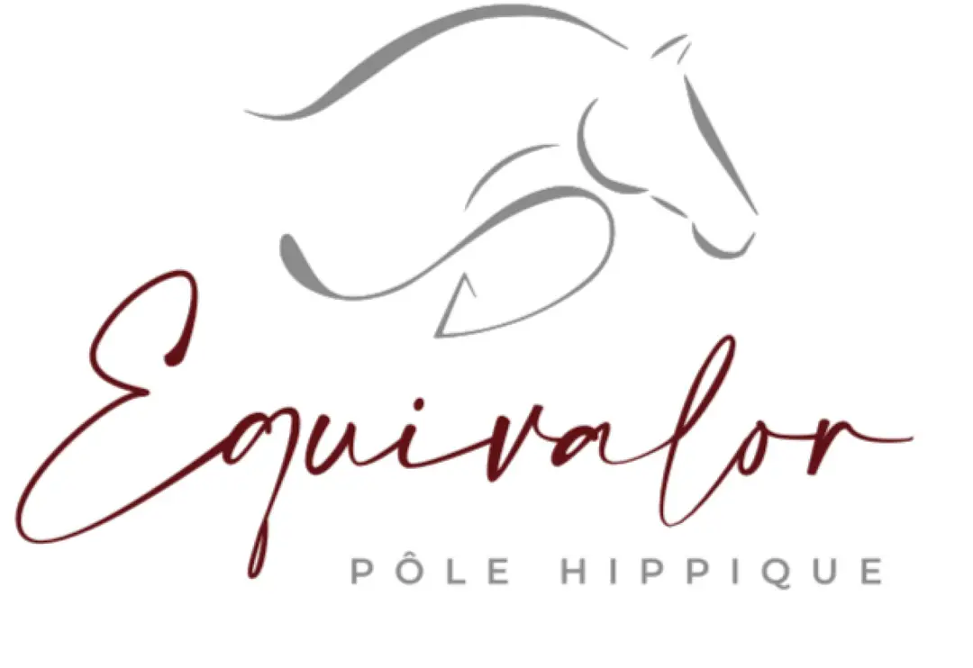 Horse Society Les Amis Du Cheval