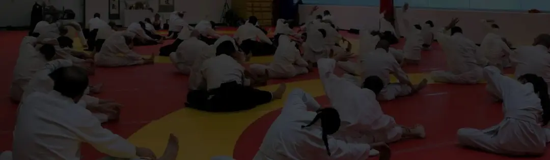 Golden Triangle Aikido