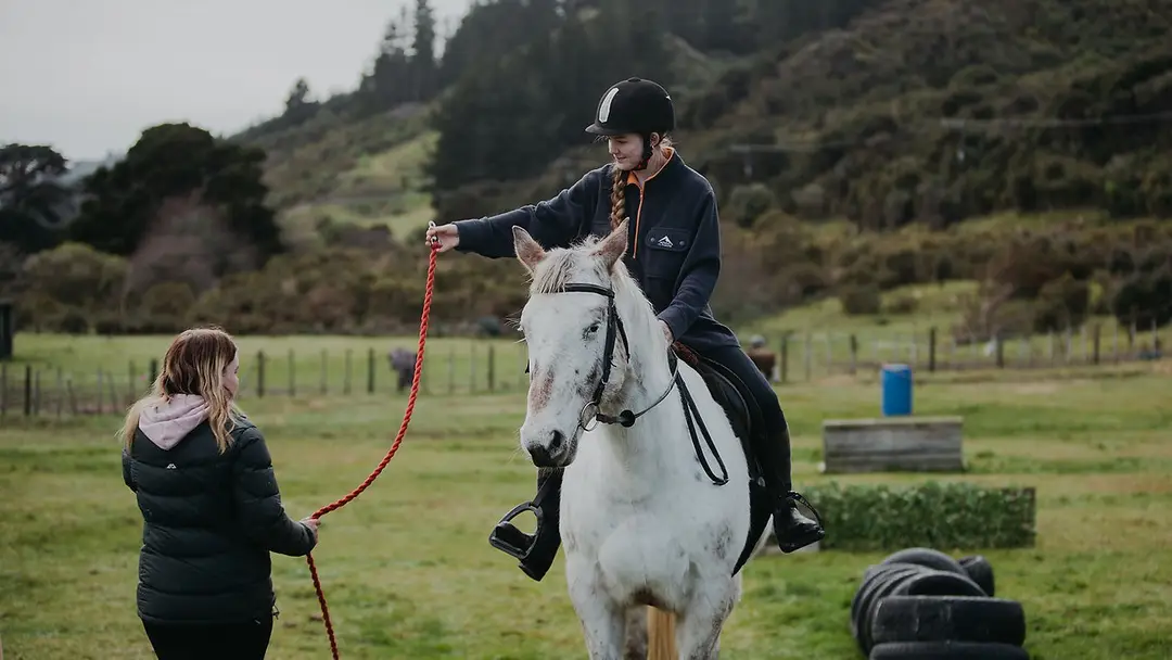 Littleriver Equestrian