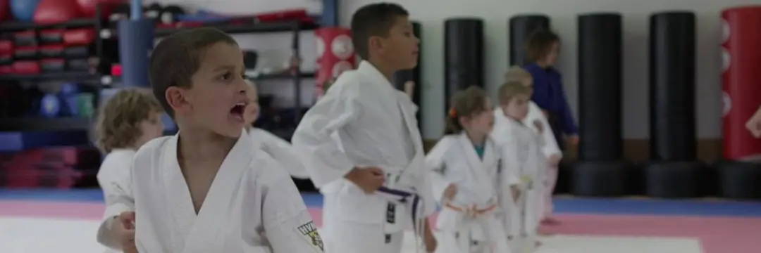 Hunter Valley Martial Arts
