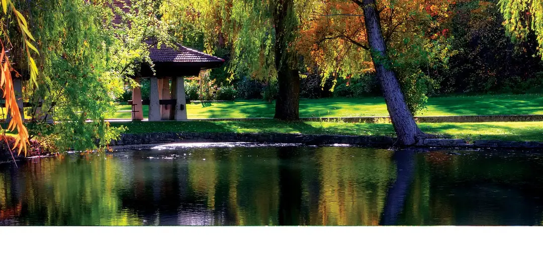 Lavington Outdoor Pool