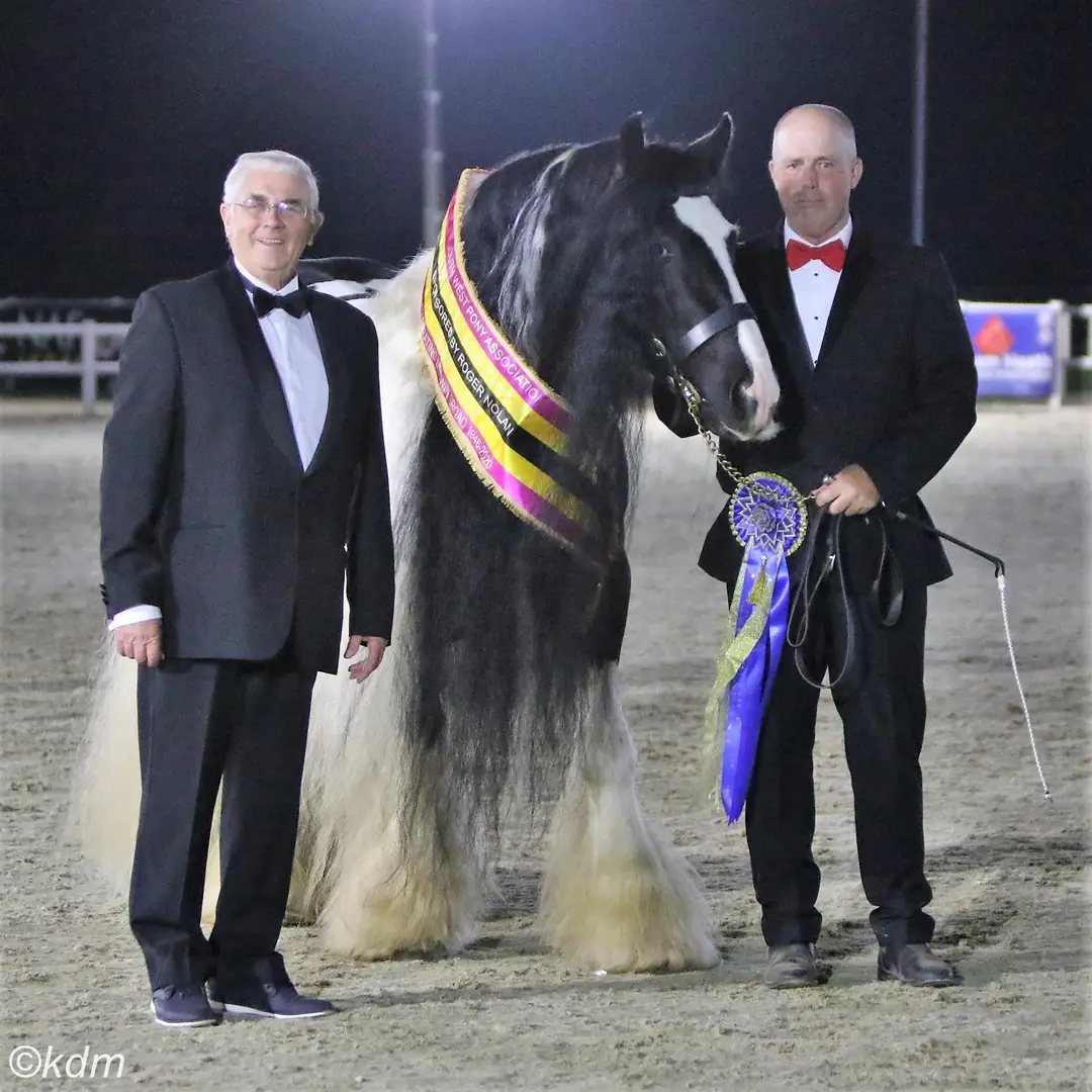 South West Pony Association